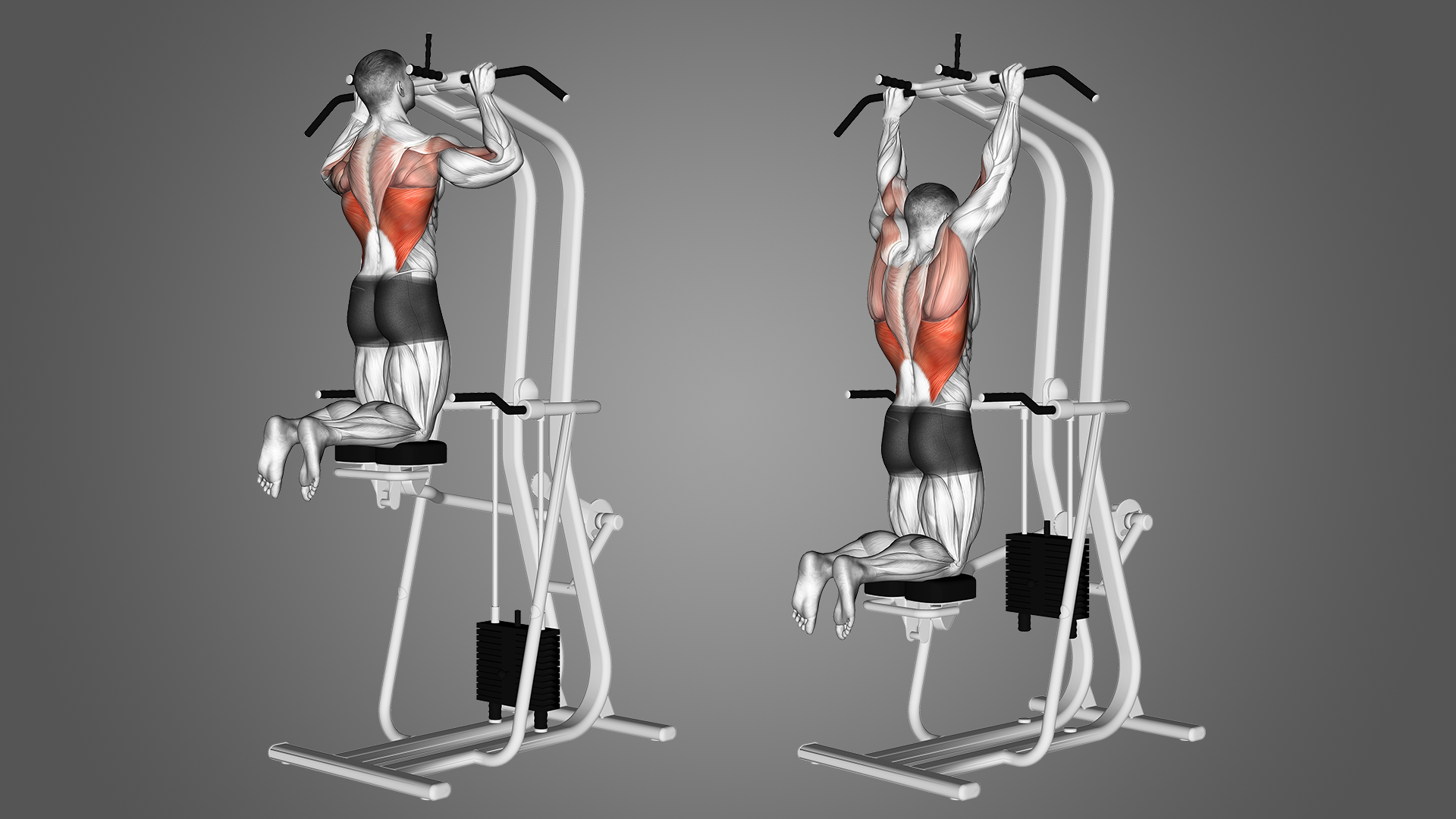 Lat Pulldown